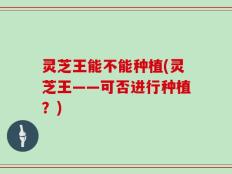 灵芝王能不能种植(灵芝王——可否进行种植？)