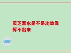 灵芝煮水是不是功效发挥不出来