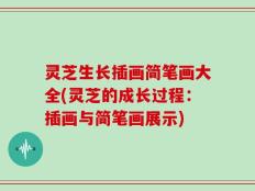 灵芝生长插画简笔画大全(灵芝的成长过程：插画与简笔画展示)