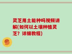 灵芝用土能种吗视频讲解(如何以土壤种植灵芝？详细教程)