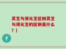 灵芝与须元芝区别灵芝与须元芝的区别是什么？)