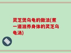灵芝煲乌龟的做法(煮一道滋养身体的灵芝乌龟汤)