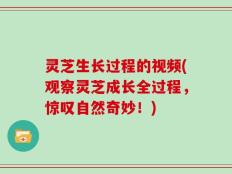 灵芝生长过程的视频(观察灵芝成长全过程，惊叹自然奇妙！)