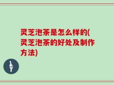 灵芝泡茶是怎么样的(灵芝泡茶的好处及制作方法)