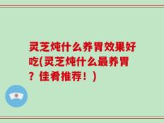 灵芝炖什么养胃效果好吃(灵芝炖什么最养胃？佳肴推荐！)
