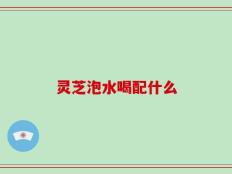 灵芝泡水喝配什么