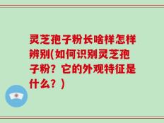 灵芝孢子粉长啥样怎样辨别(如何识别灵芝孢子粉？它的外观特征是什么？)