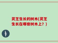 灵芝生长的树木(灵芝生长在哪些树木上？)