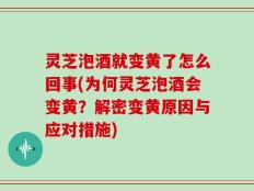 灵芝泡酒就变黄了怎么回事(为何灵芝泡酒会变黄？解密变黄原因与应对措施)