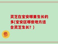 灵芝在宝安哪里生长的多(宝安区哪些地方适合灵芝生长？)