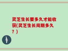 灵芝生长要多久才能收获(灵芝生长周期多久？)