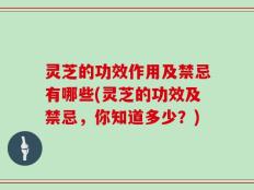 灵芝的功效作用及禁忌有哪些(灵芝的功效及禁忌，你知道多少？)