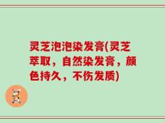灵芝泡泡染发膏(灵芝萃取，自然染发膏，颜色持久，不伤发质)