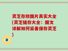 灵芝存放图片真实大全(灵芝储存大全：图文详解如何妥善保存灵芝)
