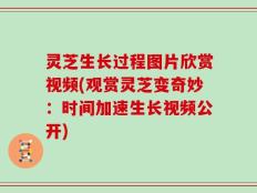 灵芝生长过程图片欣赏视频(观赏灵芝变奇妙：时间加速生长视频公开)