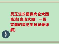 灵芝生长图像大全大图高清(高清大图：一份完美的灵芝生长记录详解)