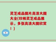 灵芝成品图片高清大图大全(珍稀灵芝成品展示，多张高清大图欣赏！)
