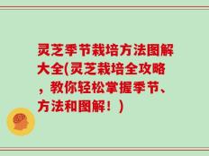 灵芝季节栽培方法图解大全(灵芝栽培全攻略，教你轻松掌握季节、方法和图解！)