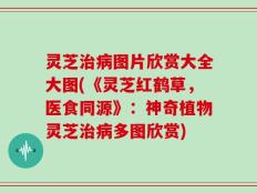 灵芝治病图片欣赏大全大图(《灵芝红鹤草，医食同源》：神奇植物灵芝治病多图欣赏)
