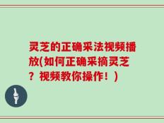 灵芝的正确采法视频播放(如何正确采摘灵芝？视频教你操作！)