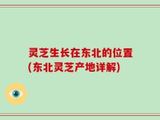 灵芝生长在东北的位置(东北灵芝产地详解)