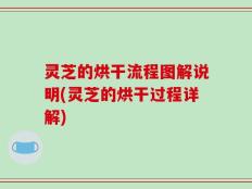 灵芝的烘干流程图解说明(灵芝的烘干过程详解)