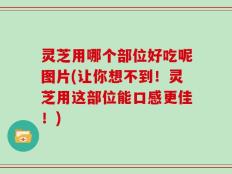 灵芝用哪个部位好吃呢图片(让你想不到！灵芝用这部位能口感更佳！)