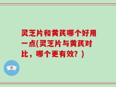 灵芝片和黄芪哪个好用一点(灵芝片与黄芪对比，哪个更有效？)