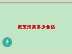 灵芝泡茶多少合适