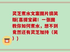 灵芝煮水文案图片搞笑版(喜提宝藏！一张图教你如何煮水，想不到竟然还有灵芝加持（笑）)