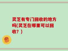 灵芝有专门回收的地方吗(灵芝在哪里可以回收？)