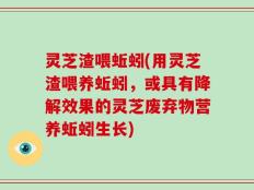 灵芝渣喂蚯蚓(用灵芝渣喂养蚯蚓，或具有降解效果的灵芝废弃物营养蚯蚓生长)