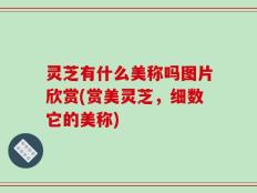 灵芝有什么美称吗图片欣赏(赏美灵芝，细数它的美称)