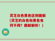 灵芝白色黑色区别图解(灵芝的白色和黑色有何不同？图解解析！)