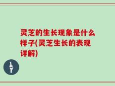 灵芝的生长现象是什么样子(灵芝生长的表现详解)