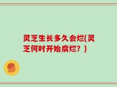 灵芝生长多久会烂(灵芝何时开始腐烂？)
