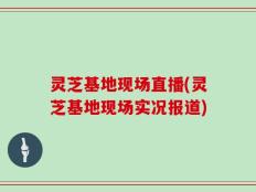 灵芝基地现场直播(灵芝基地现场实况报道)