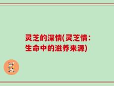 灵芝的深情(灵芝情：生命中的滋养来源)