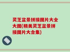 灵芝盆景拼接图片大全大图(精美灵芝盆景拼接图片大合集)