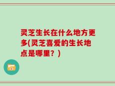 灵芝生长在什么地方更多(灵芝喜爱的生长地点是哪里？)