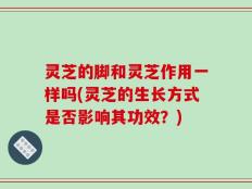 灵芝的脚和灵芝作用一样吗(灵芝的生长方式是否影响其功效？)