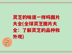 灵芝的味道一样吗图片大全(全球灵芝图片大全：了解灵芝的品种和外观)