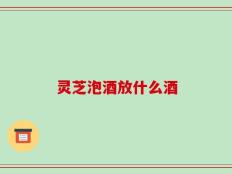 灵芝泡酒放什么酒