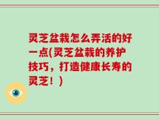 灵芝盆栽怎么弄活的好一点(灵芝盆栽的养护技巧，打造健康长寿的灵芝！)