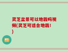 灵芝盆景可以地栽吗视频(灵芝可适合地栽！)