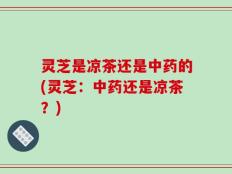 灵芝是凉茶还是中药的(灵芝：中药还是凉茶？)