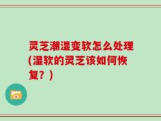 灵芝潮湿变软怎么处理(湿软的灵芝该如何恢复？)