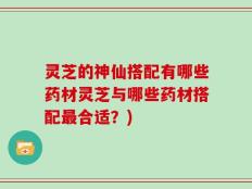 灵芝的神仙搭配有哪些药材灵芝与哪些药材搭配最合适？)