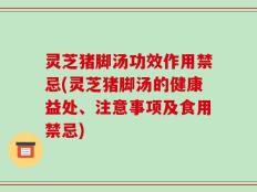 灵芝猪脚汤功效作用禁忌(灵芝猪脚汤的健康益处、注意事项及食用禁忌)
