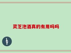 灵芝泡酒真的有用吗吗